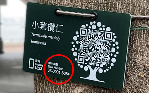 Tree label