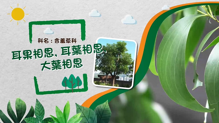 影片