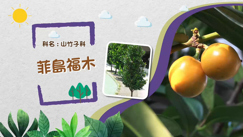 影片