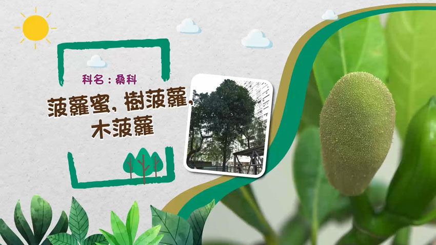 影片