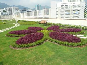 Photo from MSC Primary School 3
