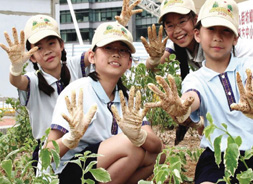 Community involvement on greening