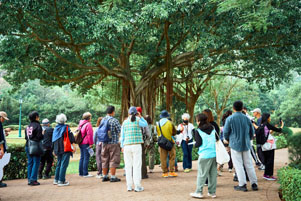 漫步湖畔。迪欣湖2