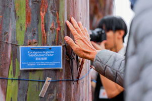 漫步湖畔。迪欣湖3