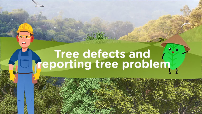 Animation on Tree Defects and Reporting Tree Problem