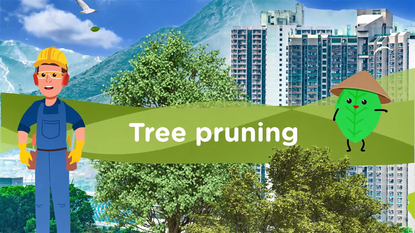 Animation on Tree Pruning