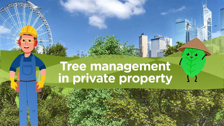 Animation on Tree Management in Private Property