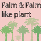 Palm & Palm like plant