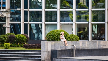 Greening - Landscape Corner (43)