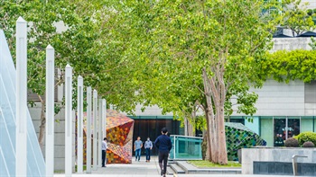 Greening - Landscape Corner (43)