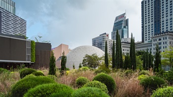 修剪成圆球的植物与香港太空馆的「菠萝包」半球形结构相映成趣。