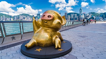 麦兜雕像是星光大道的四座铜像之一。麦兜是广受欢迎的香港卡通人物，推出了不少电影和电视剧。这座雕像以维港和香港岛摩天大厦林立的背景衬托，地位非凡。