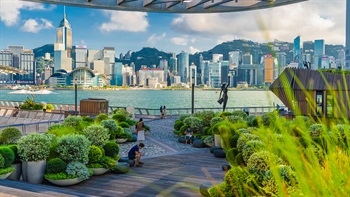 Statue of Hong Kong Film Awards is one of the four bronze statues in the Avenue of Stars.  The potted plants and large stones create an interesting organic composition in contrast to the space around them and instil a welcoming scale to visitors and guide their way into the Avenue of Stars.