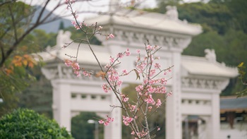 Complementary to existing attractions in Ngong Ping - Ngong Ping Piazza