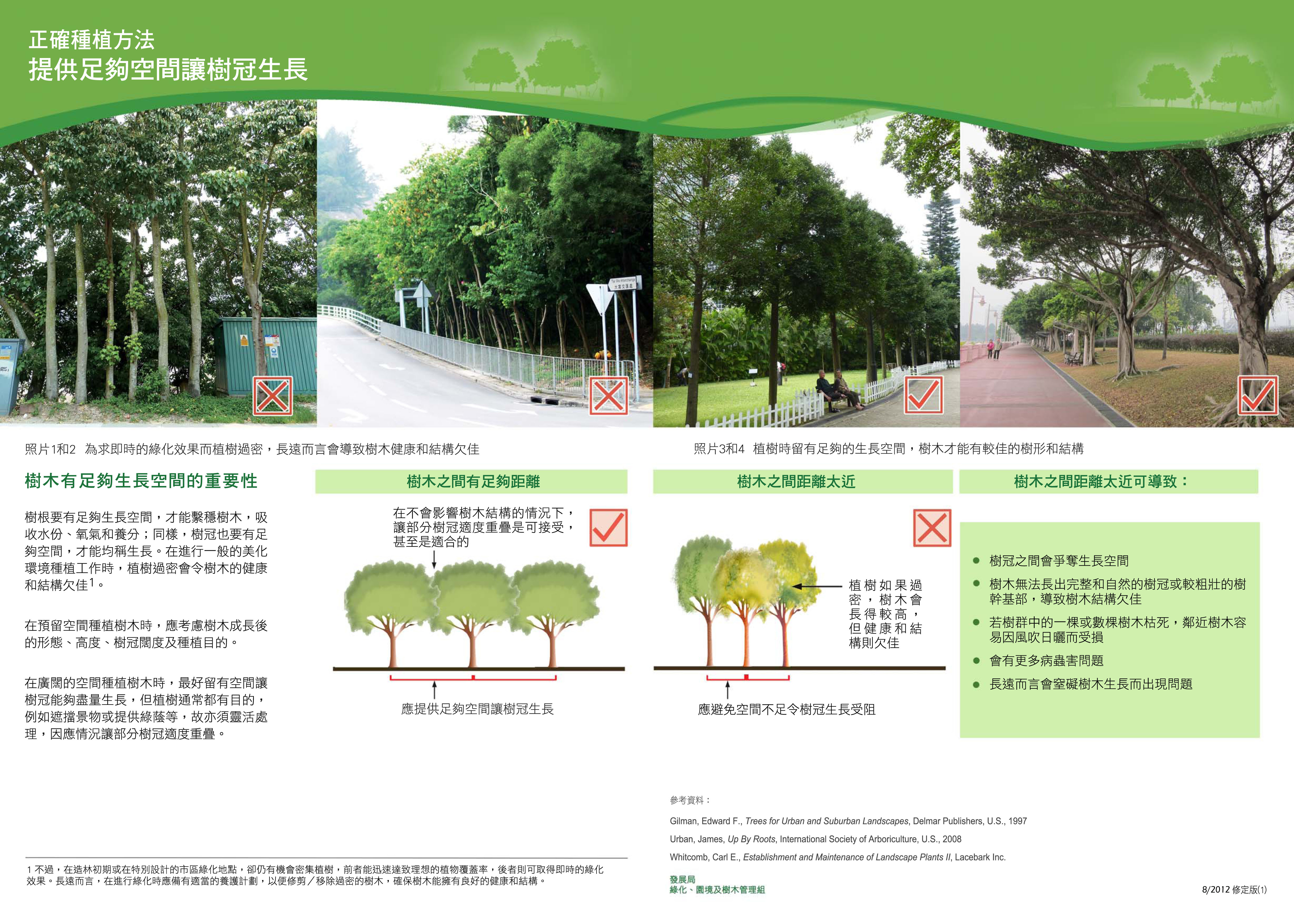 綠化 正確種植方法 121