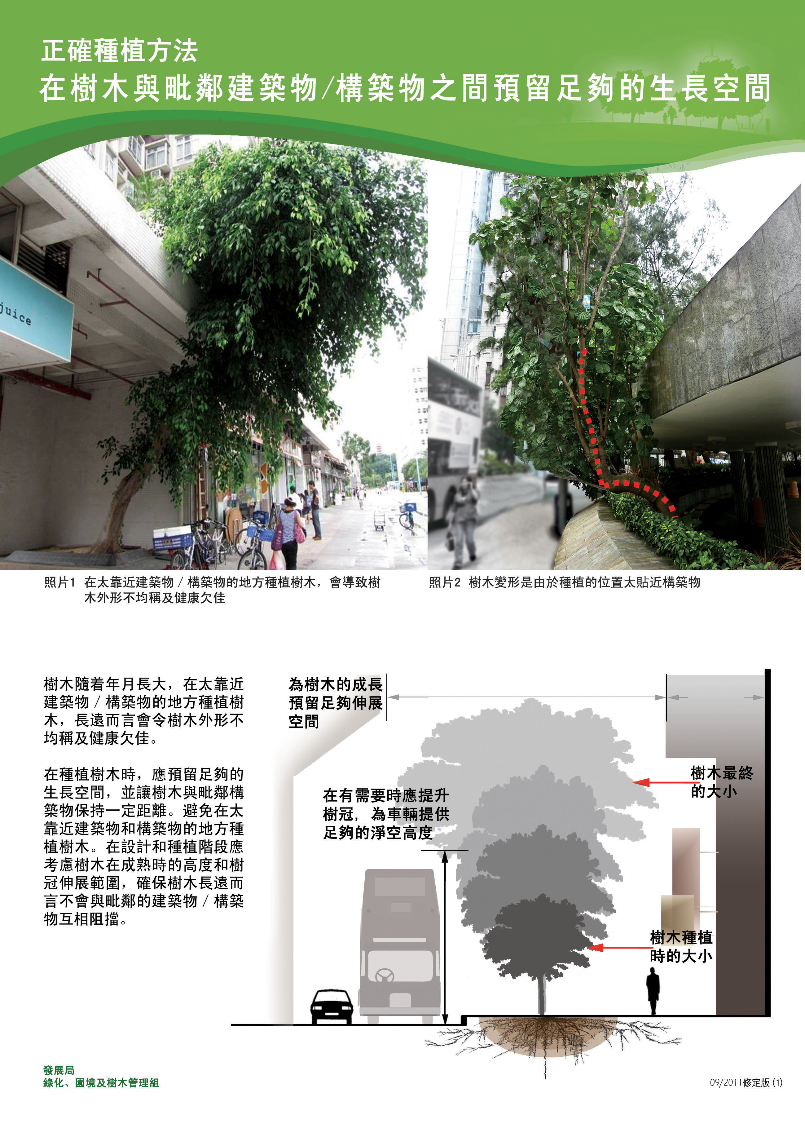 綠化 正確種植方法 121